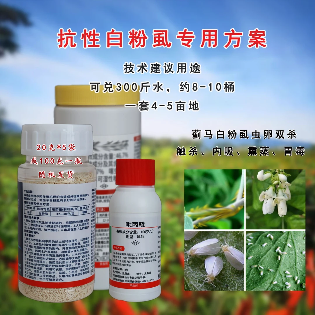 卡KA小白 辣椒白飞虱白粉虱专用组合（一套10桶水）技术建议用途