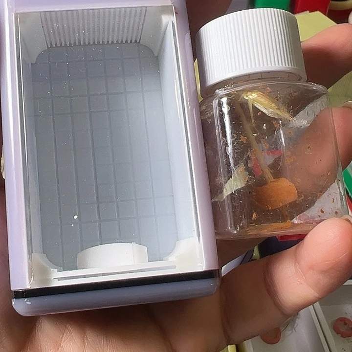 无***风蟋蟀哈哈哈哈哈哈哈哈哈哈哈哈