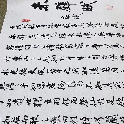 扇子王*匠赤壁赋行书作品