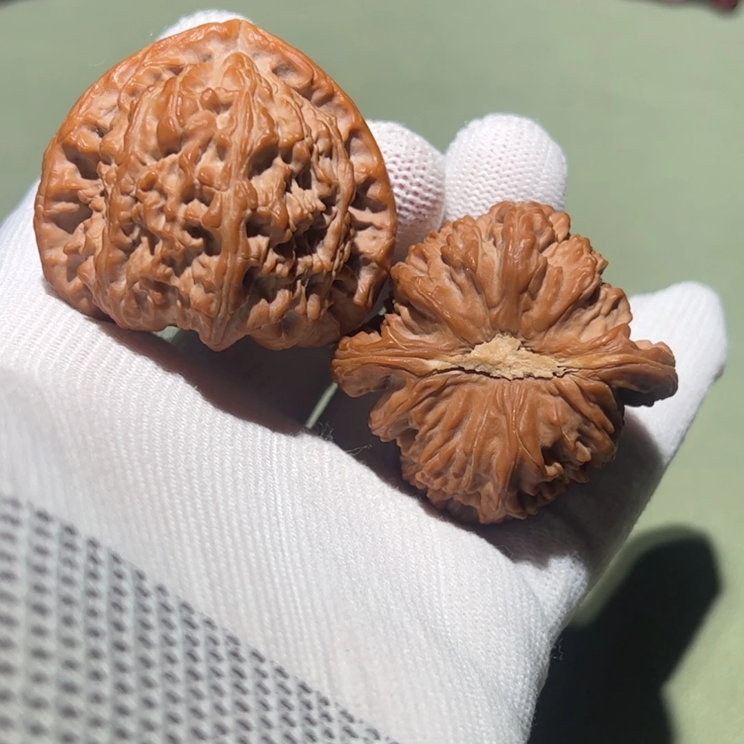 把件文玩核桃46白狮子木塞底三角白（微修）