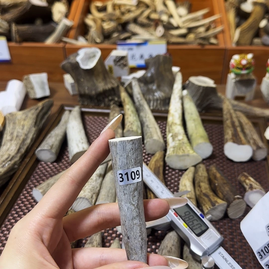 鹿骨手串/手链3109角尖