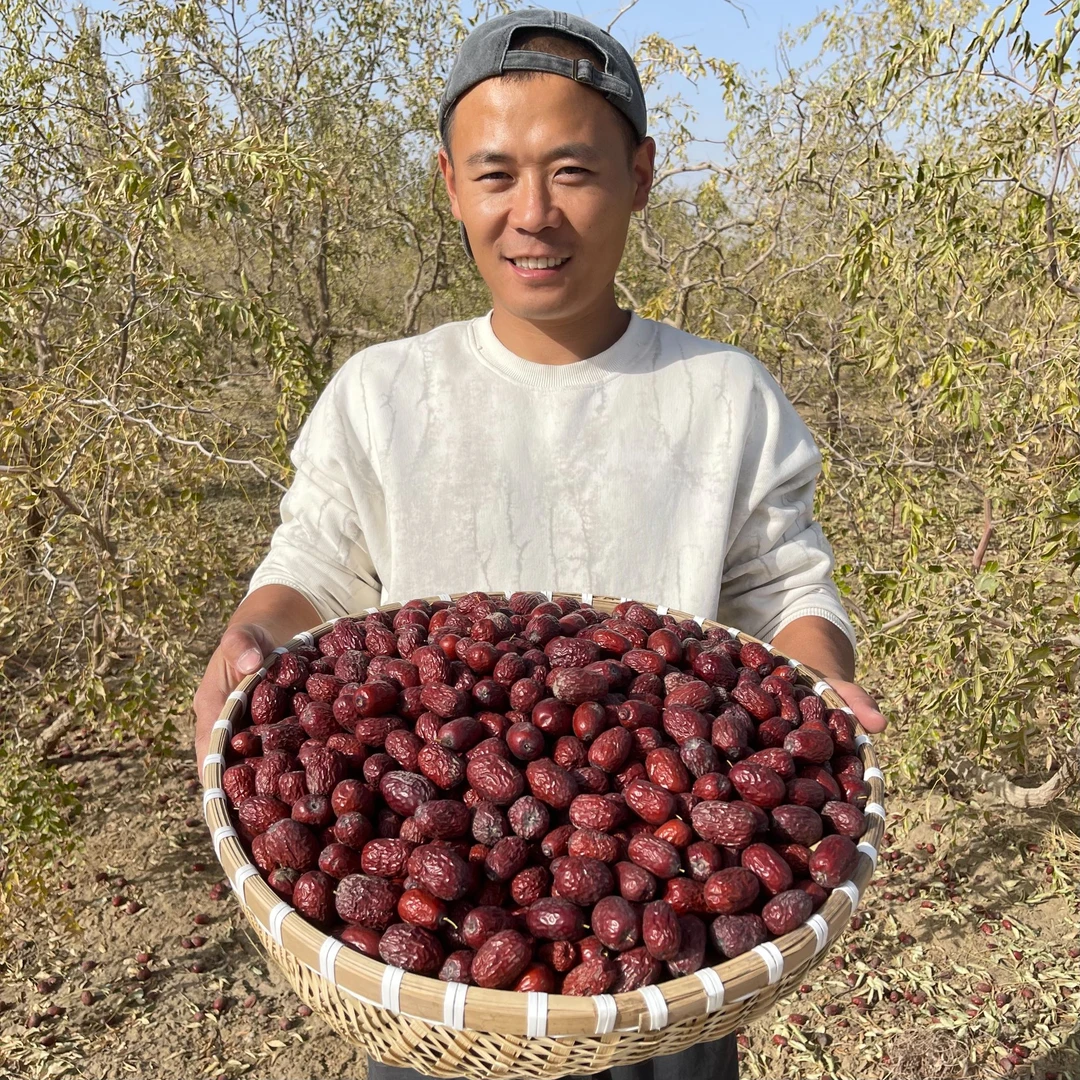 25年新疆灰枣产地直发原生态未清洗红枣自然吊干新枣下树农户直销