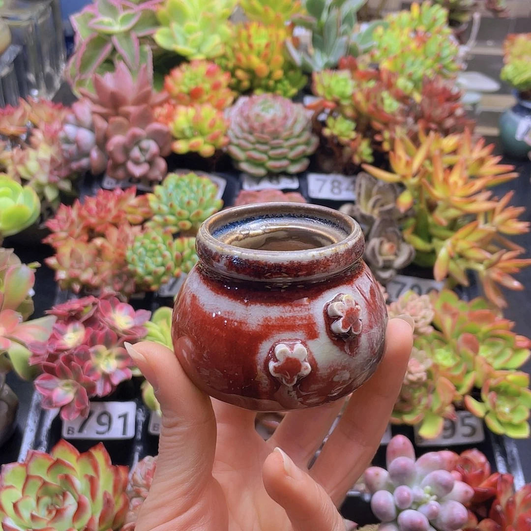 花***吖花钱花钱花钱花钱花钱