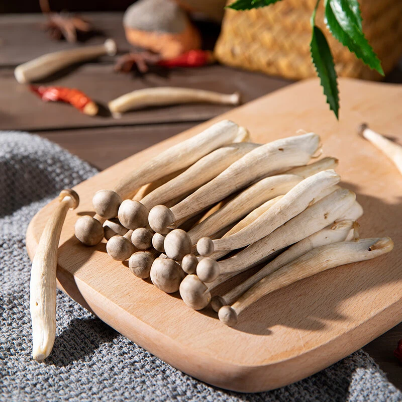 【新鲜鹿茸菇买一斤送一斤】现采现发火锅食材脆脆菇