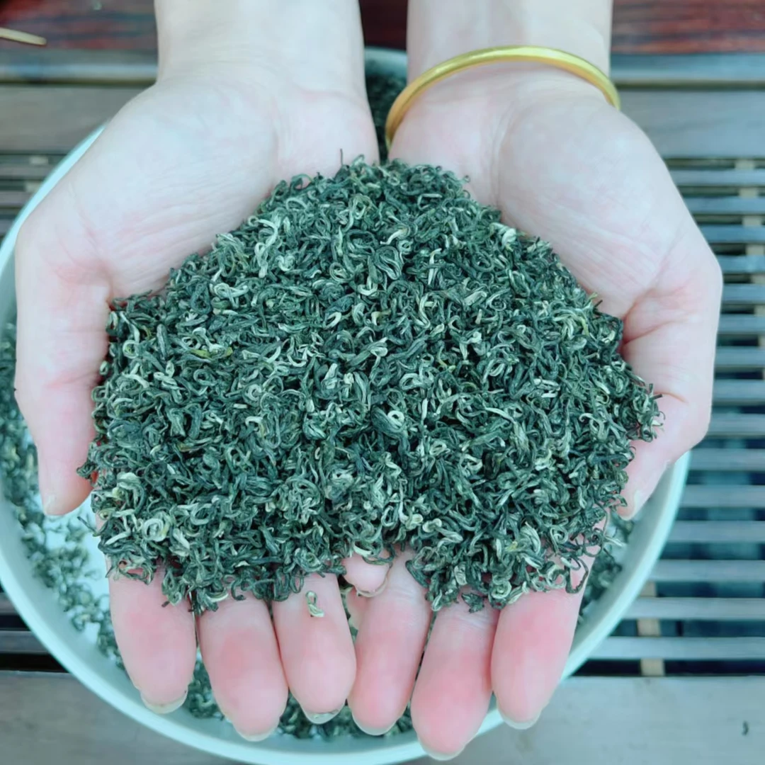 2025年新茶英山云雾茶醇厚耐泡秋茶嫩芽嫩叶高山绿茶叶