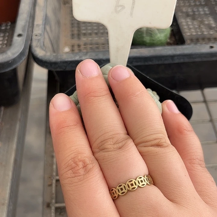 我也不知道我为什么要这样