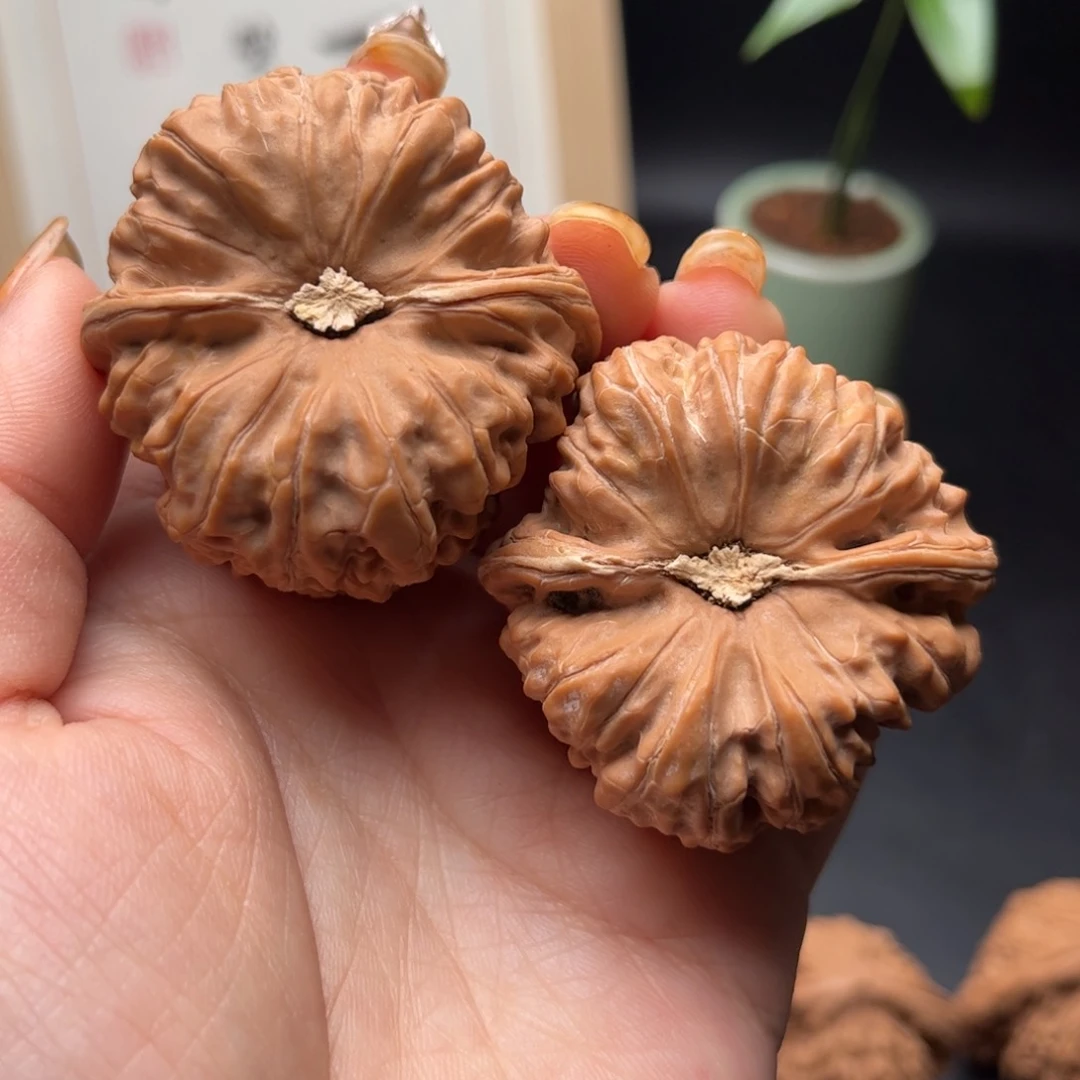 文玩核桃把件是**生凹底全品