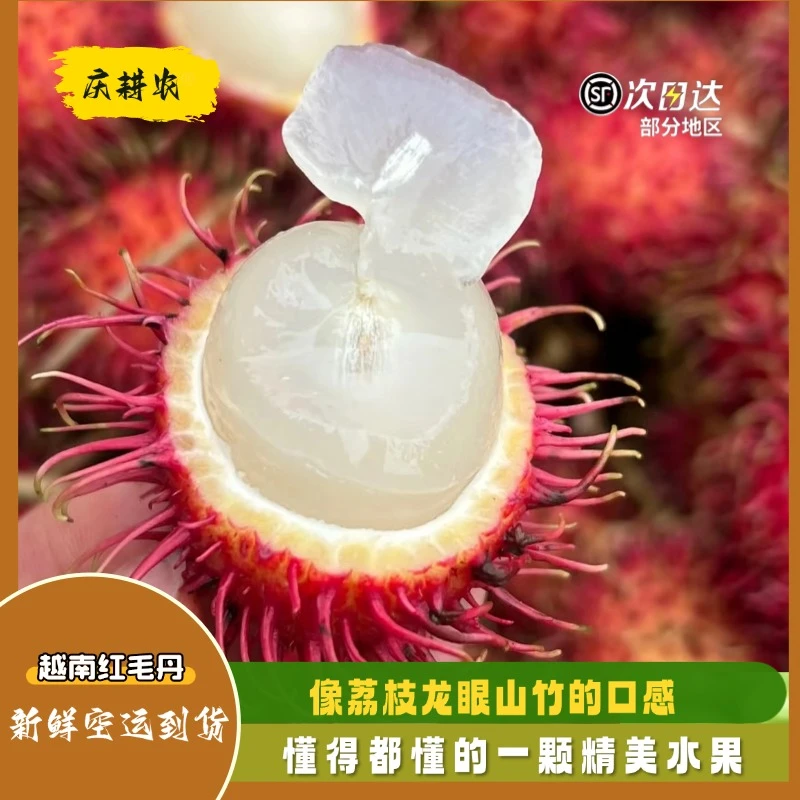 越南红毛丹现摘现发爆甜多汁热带新鲜水果顺丰包邮