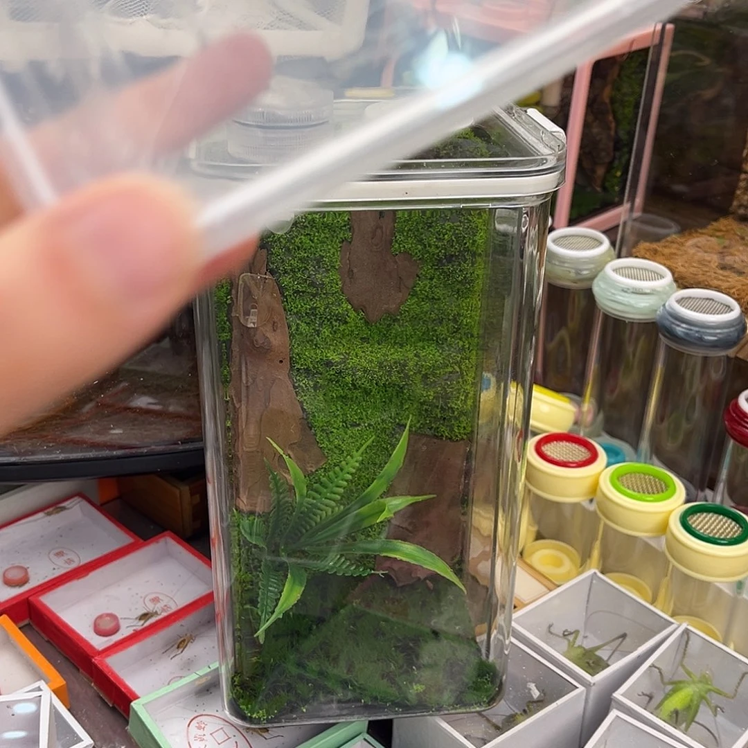 浴***血生态箱➕短抓素贝哈哈哈