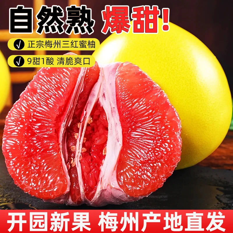 （试吃装）梅州三红蜜柚产地直发孕妇水果中秋国庆送礼