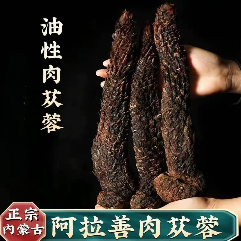 正宗沙漠油性肉苁蓉阿拉善肉苁蓉干货可免费切片泡水泡酒正品无硫