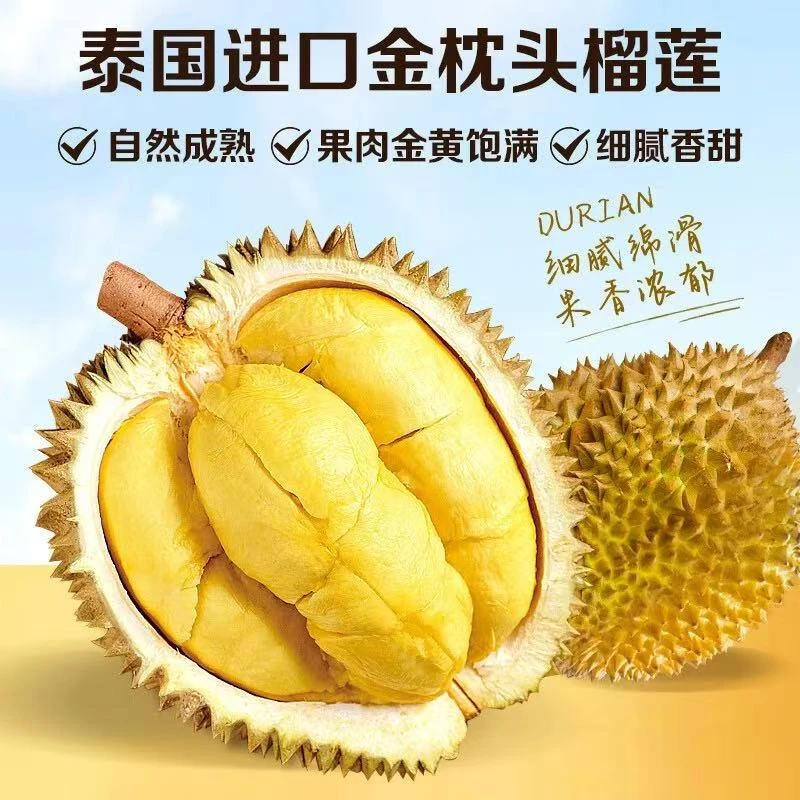 【有成专属鲜果榴莲2】金枕榴莲榴莲当季鲜果整个带壳新鲜包邮到家