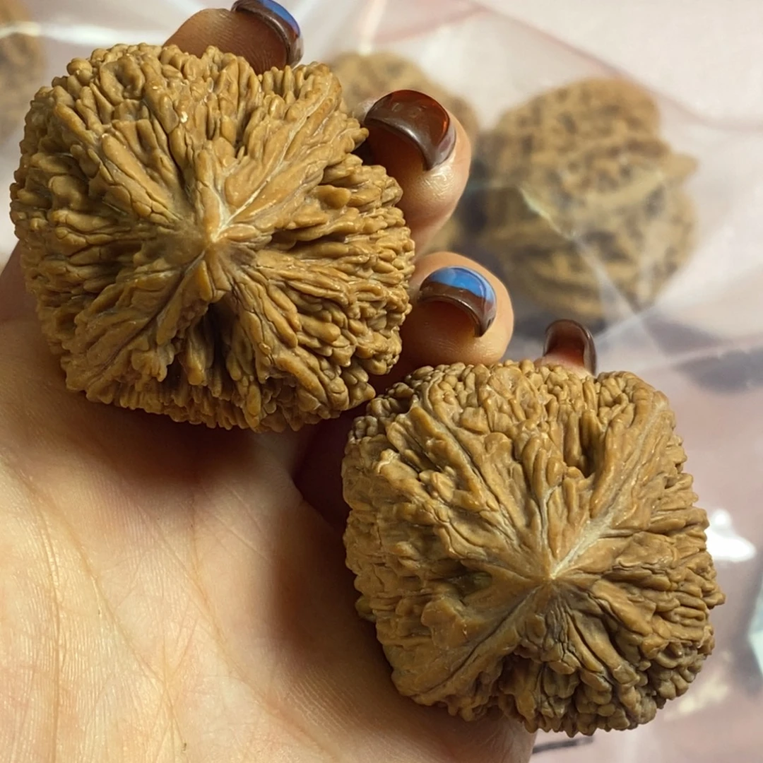 文玩核桃吊坠37蒜头666.66