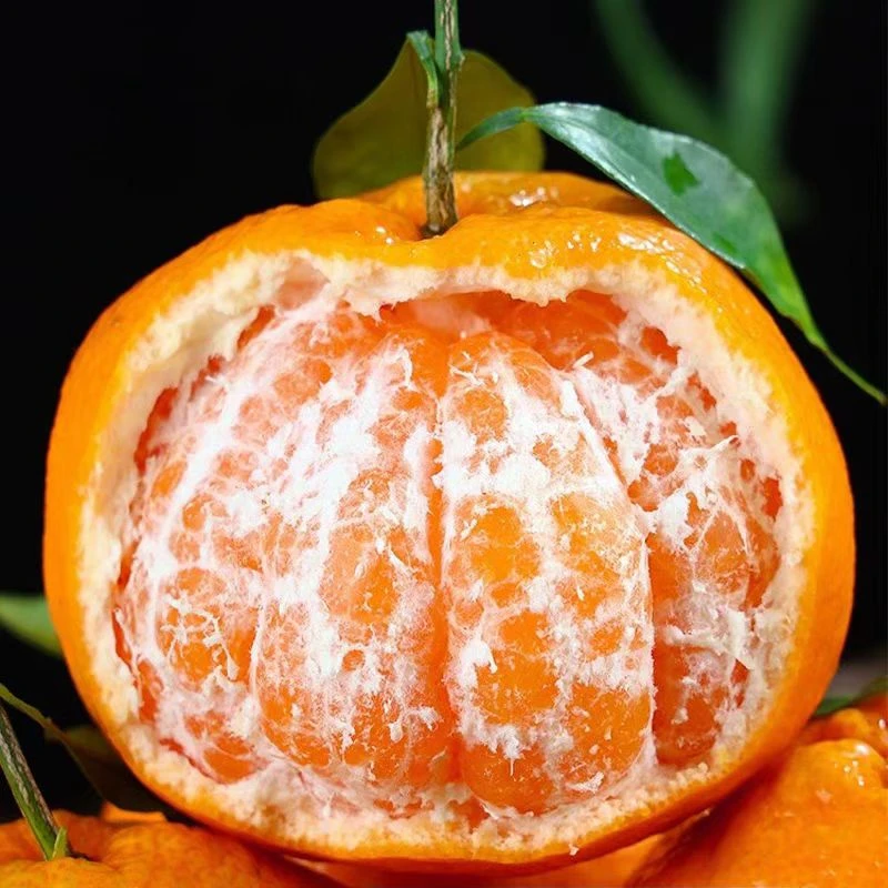 【京东包邮】精品耙耙柑 3斤/4斤/6斤（裂口快递运输不售后 介意勿拍）装四川耙耙柑山东省