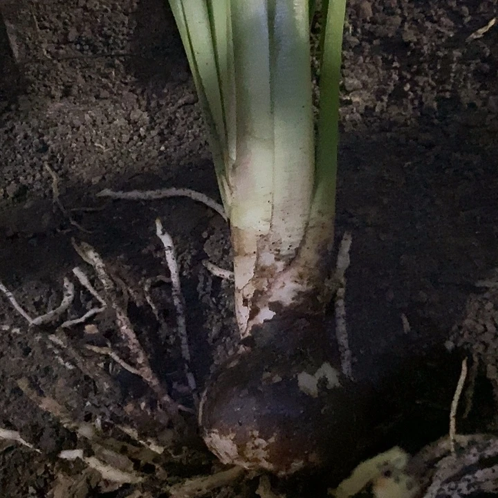 完全开放舞动人心。4.5➕。