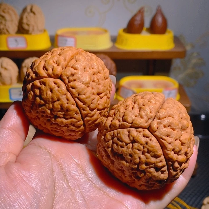 野生三瓣脑纹大金刚虫眼5762
