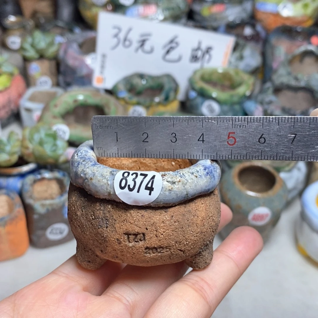 拍3送一个小礼物