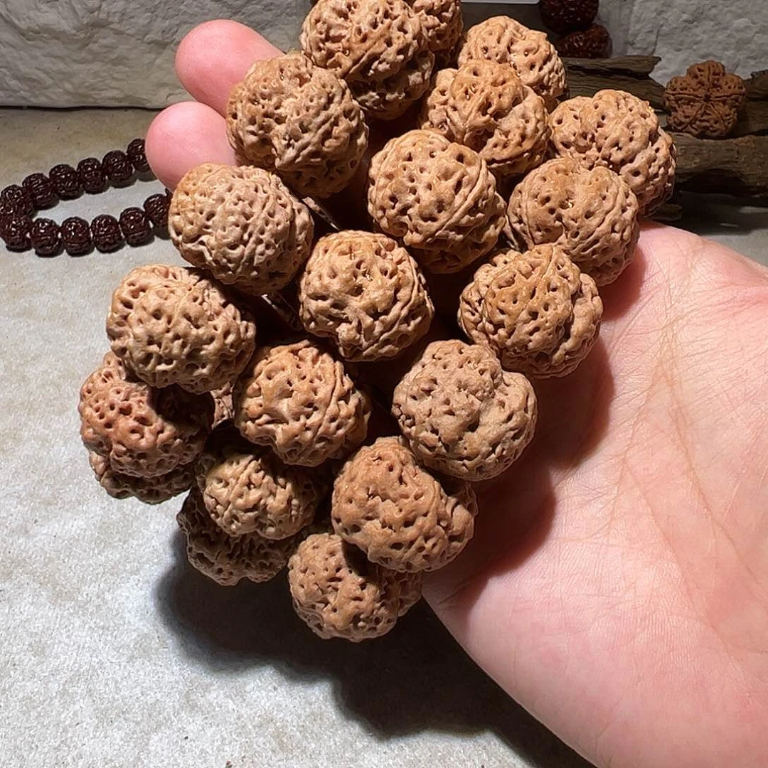金刚菩提手串23尺寸左右古龙梅花福利