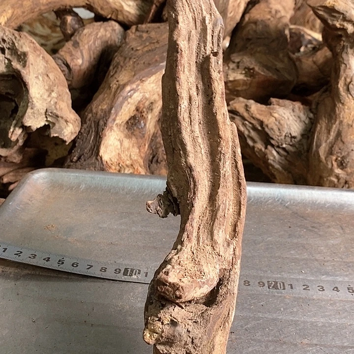 花梨木类自**明海南花梨