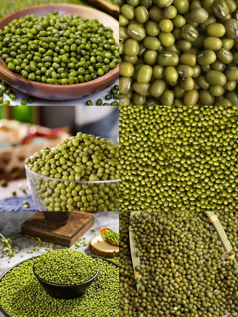 [土特产龙腾专属项绿豆可搭配11]1.8-48g