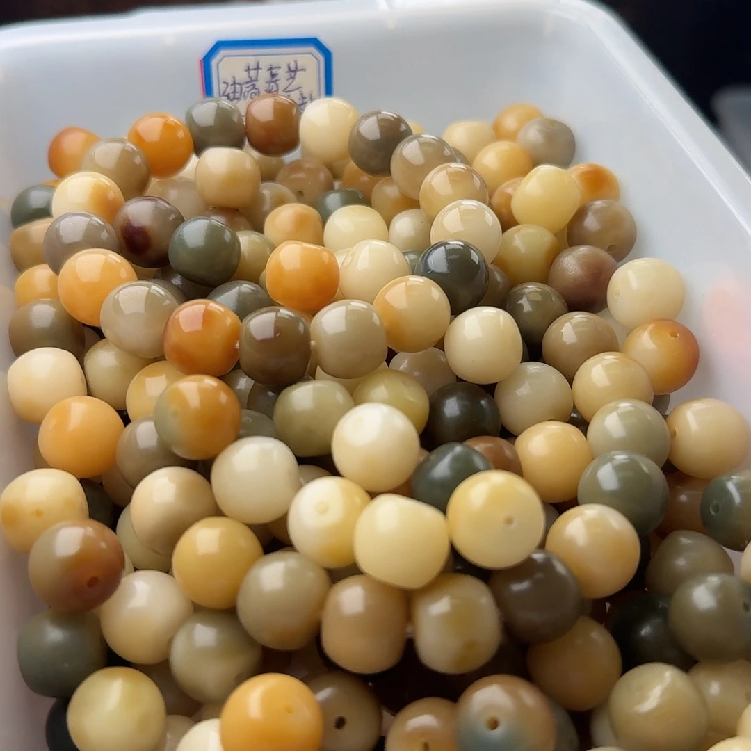 吊坠菩提根/象牙果50 颗油膏青芒 13 花鼓