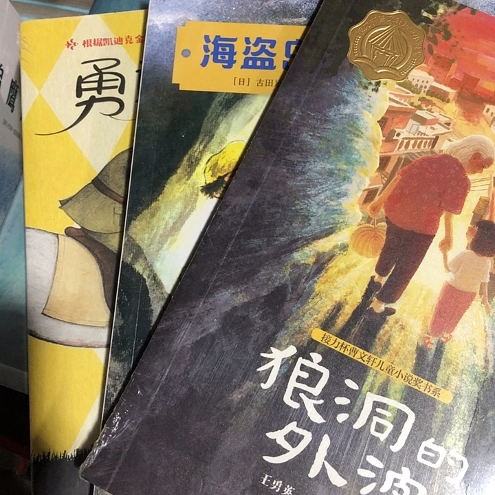 海盗旅程外婆3本