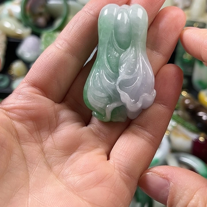 翡翠未镶嵌颈饰翡翠未镶嵌颈饰