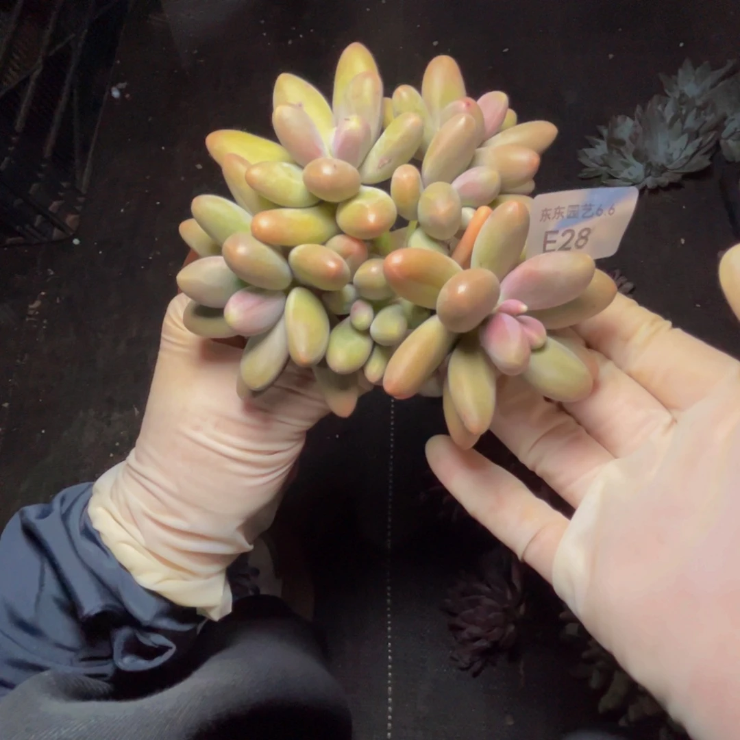 e e e e e e e e e e 28