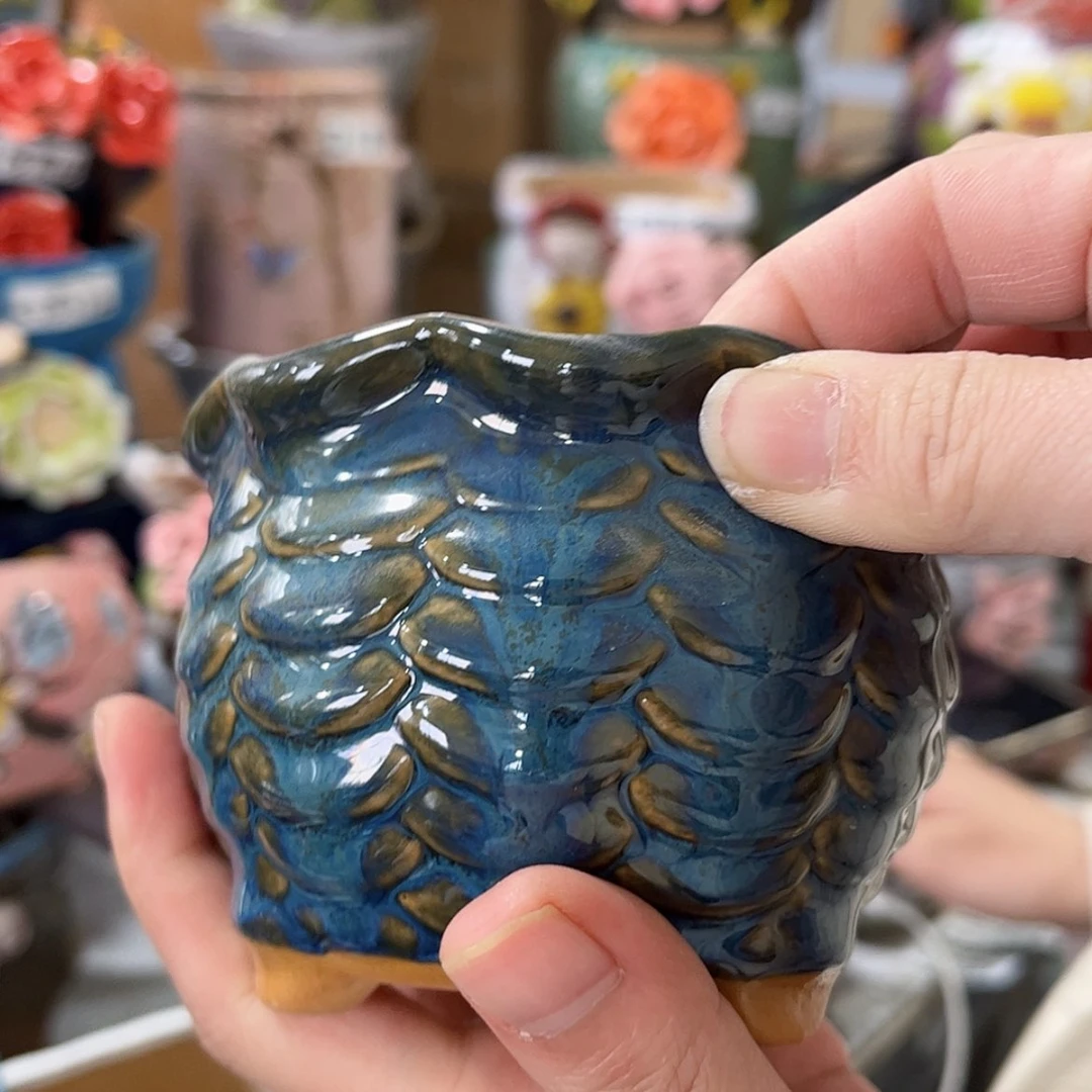 【闪购商品】红陶22101