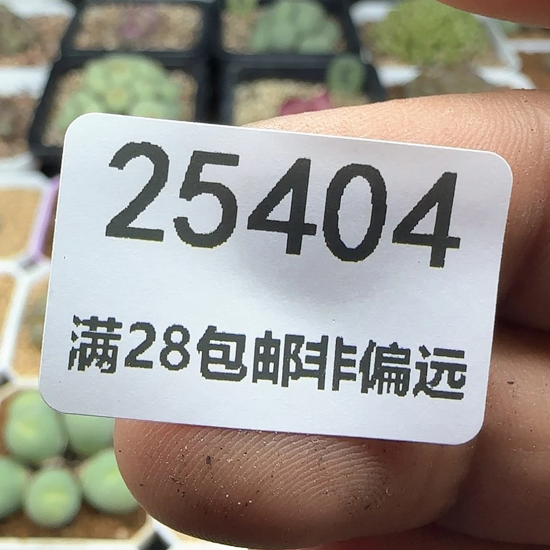 丁*空餐苗子2个哈哈哈