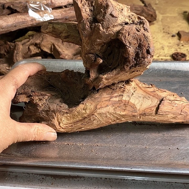 花梨木类独**江海南花l