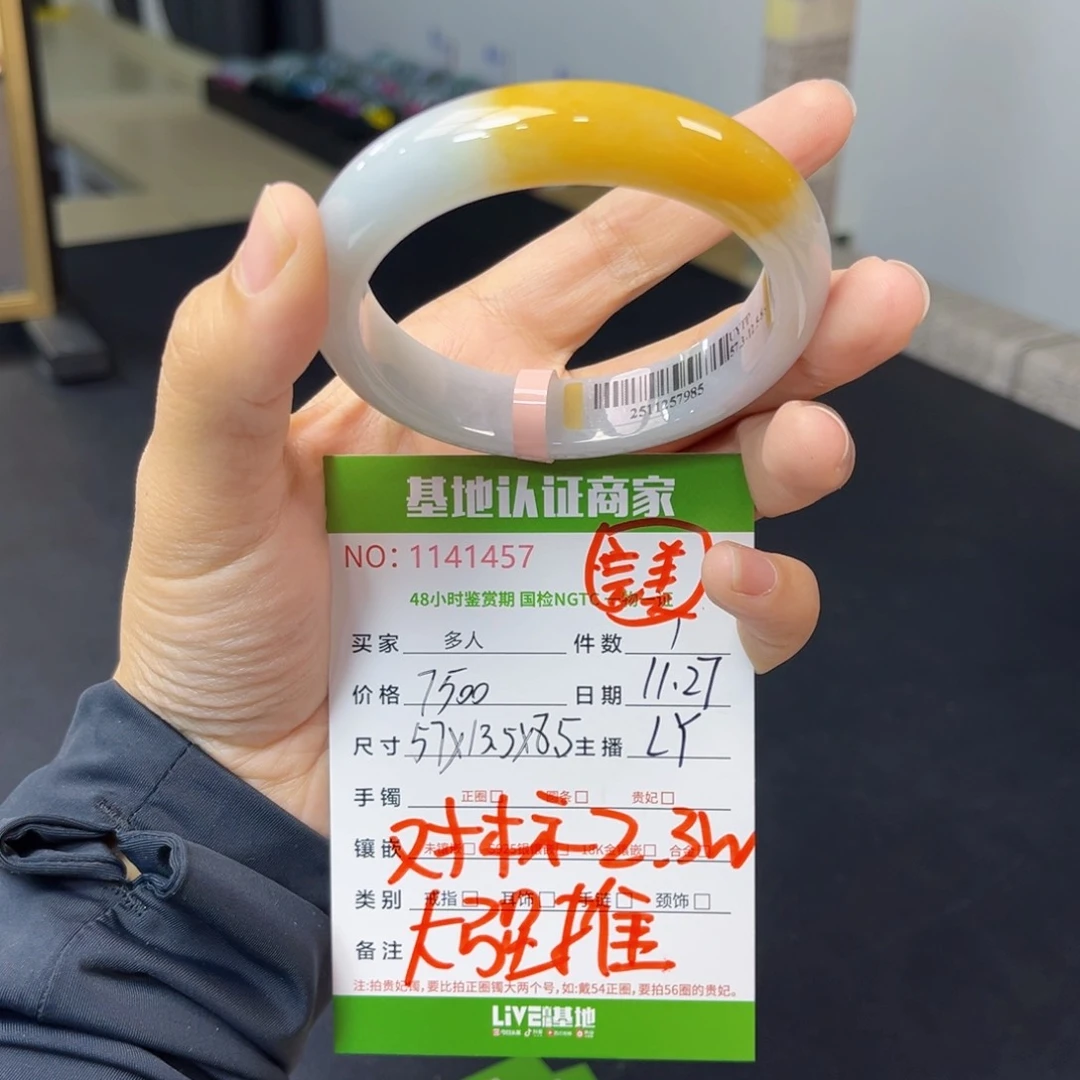未镶嵌手镯翡翠手镯