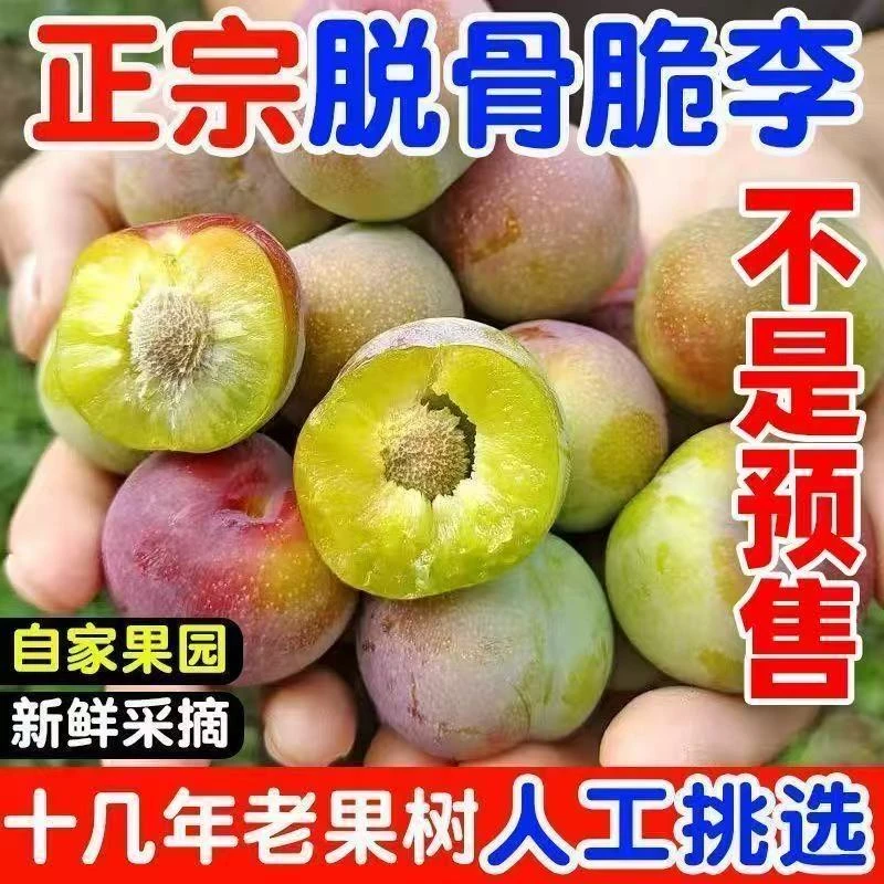 四川正宗脱骨李半边红茵红李空心李当季新鲜水果包邮
