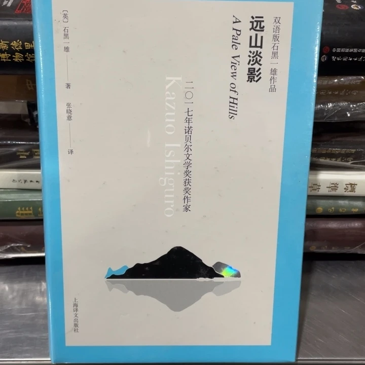 远山淡影精装塑封书籍