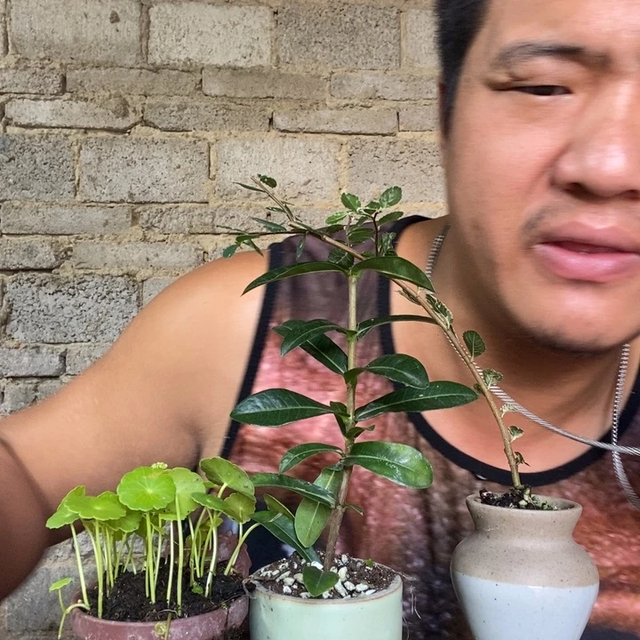 完全开放退款拉黑一物一拍77