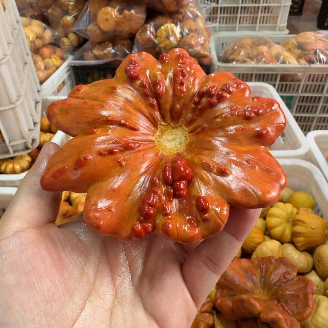 伊***麻特价微瑕葫芦不退不换