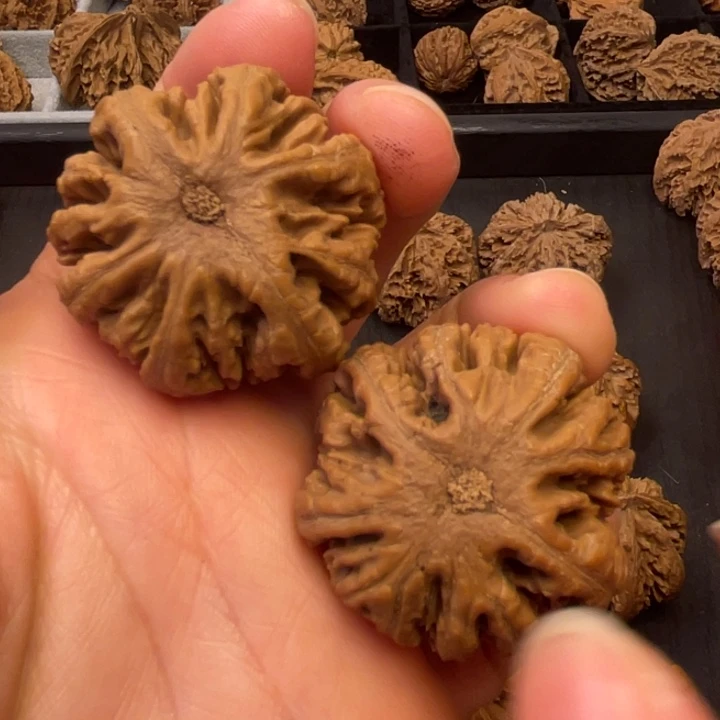 文玩核桃吊坠秦岭以南至四川