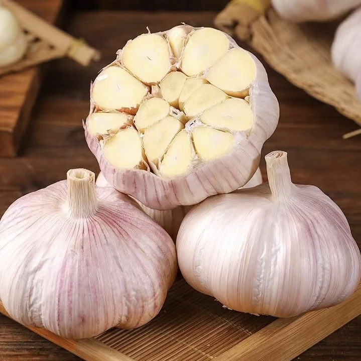 【紫白皮大蒜】2025年新干紫白皮大蒜 辛辣十足 菜品百搭