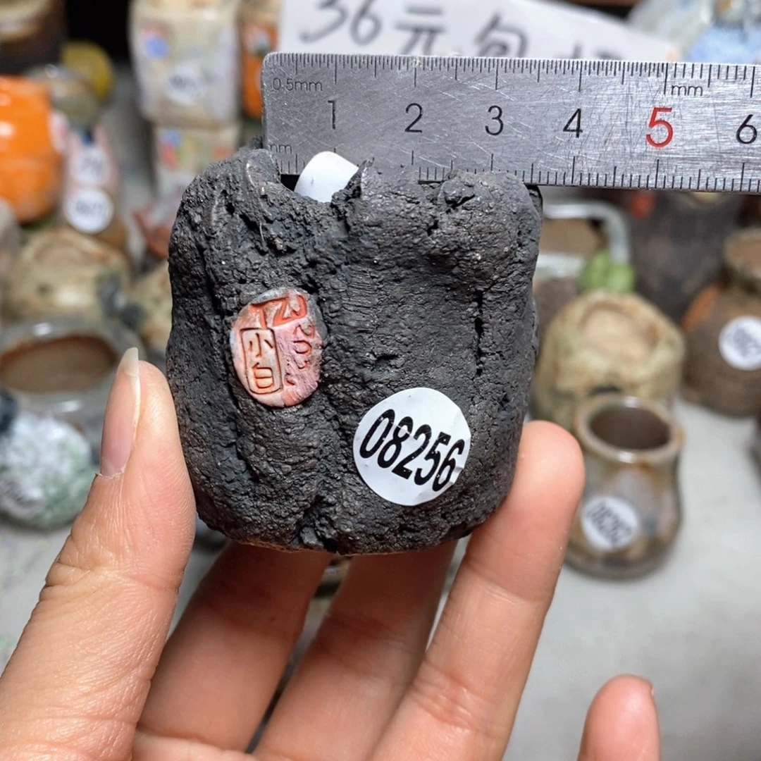 花盆拍5送一个小礼物