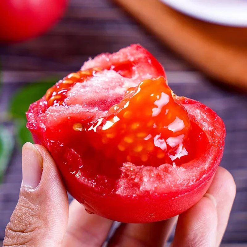 （树上熟）攀枝花老品种沙瓤番茄新鲜水果蔬菜5斤