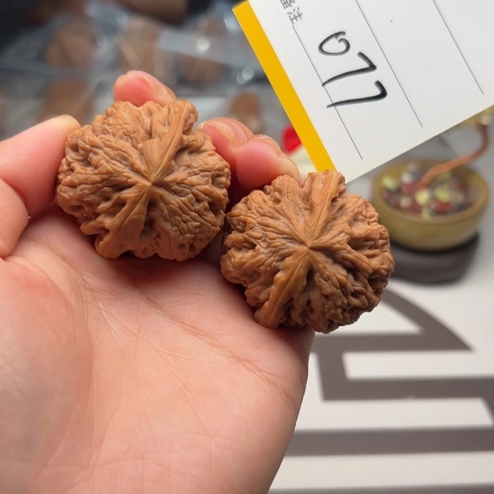 核桃41.5尺粗筋077