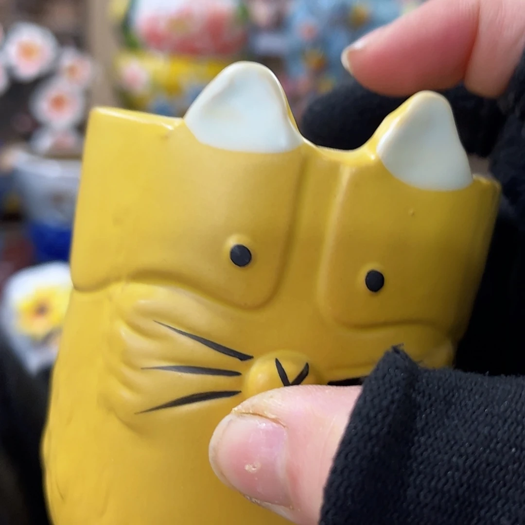 【闪购商品】红陶福利