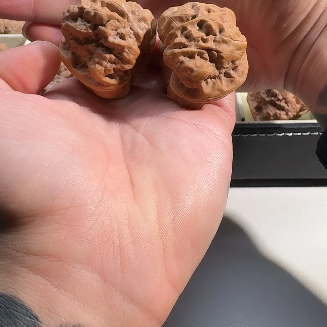 大叶紫檀（黑酸枝木类）