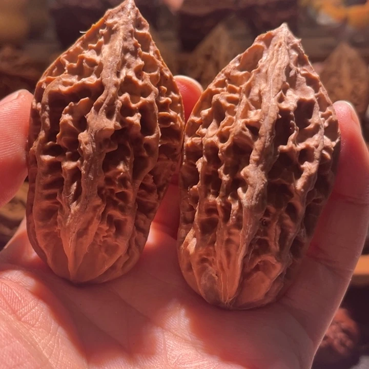 吊坠文玩核桃楸玥核121浮黄