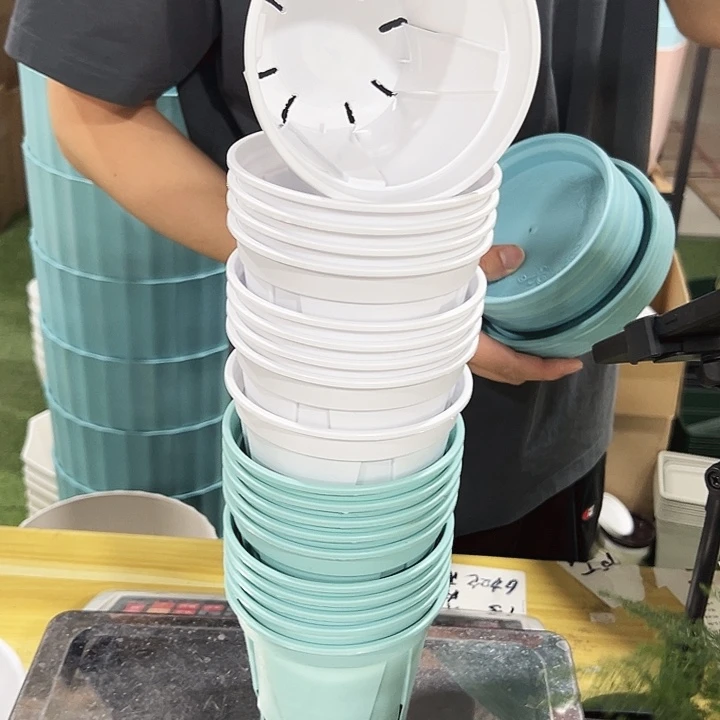 青山120口12高10混色无托20只
