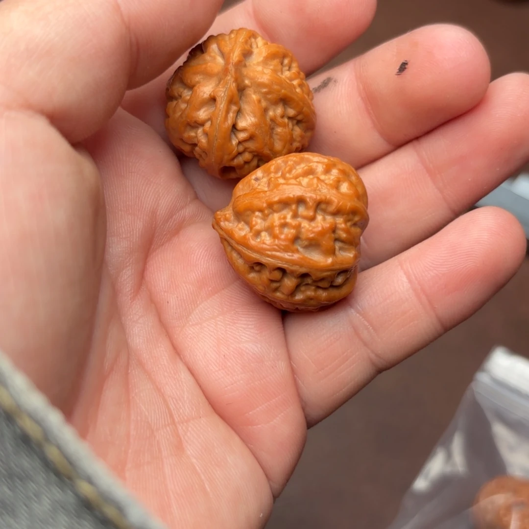 把件文玩核桃71000000