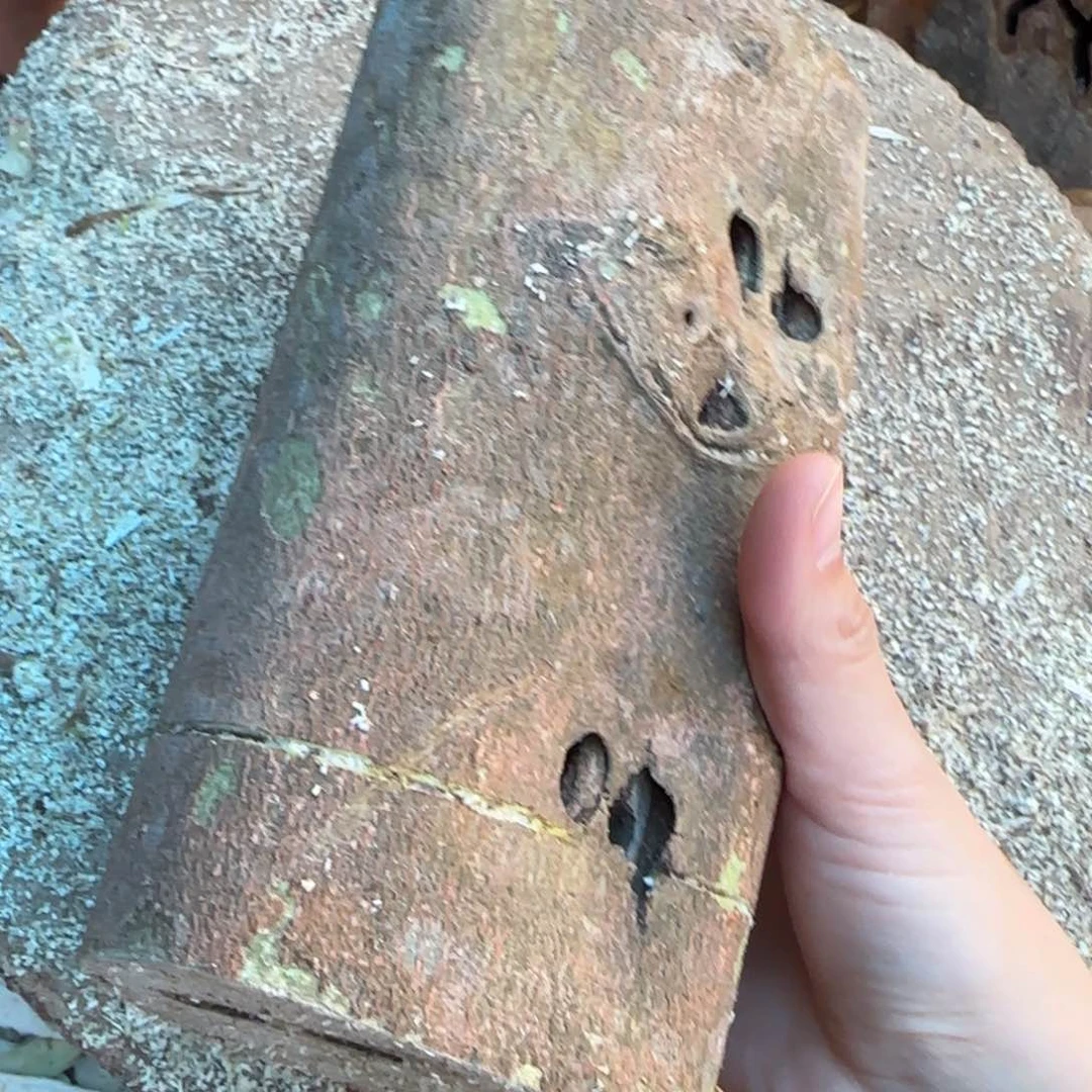 树脂制品肉*丸36号奇楠原木虫漏一个