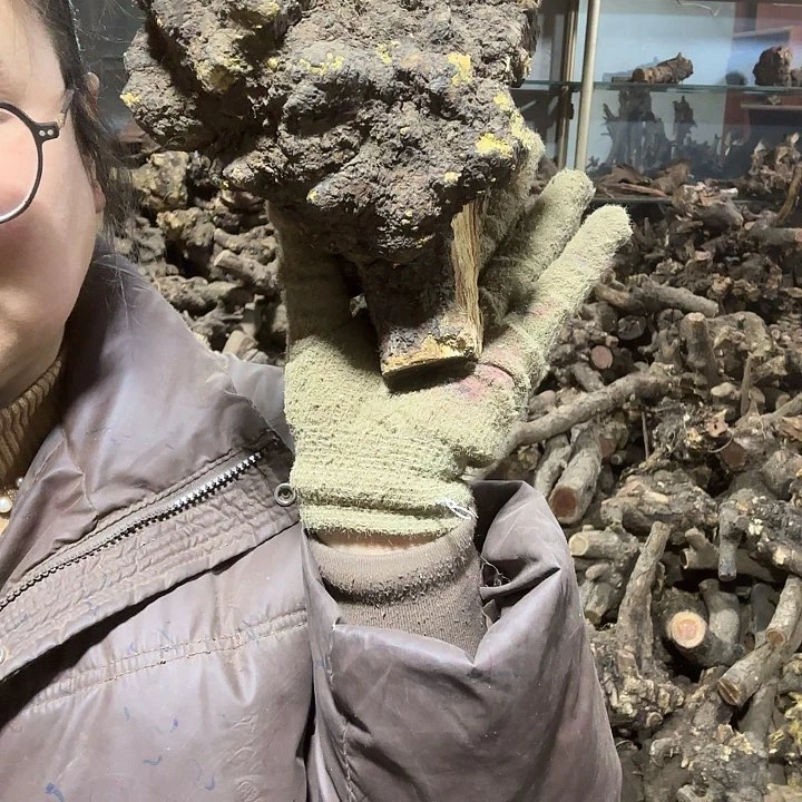 香榧木扣*火琉璃的故事毛料摆件