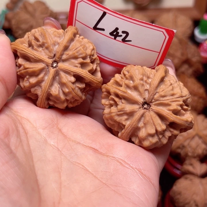 把件文玩核桃44大尺玉玺正四棱42