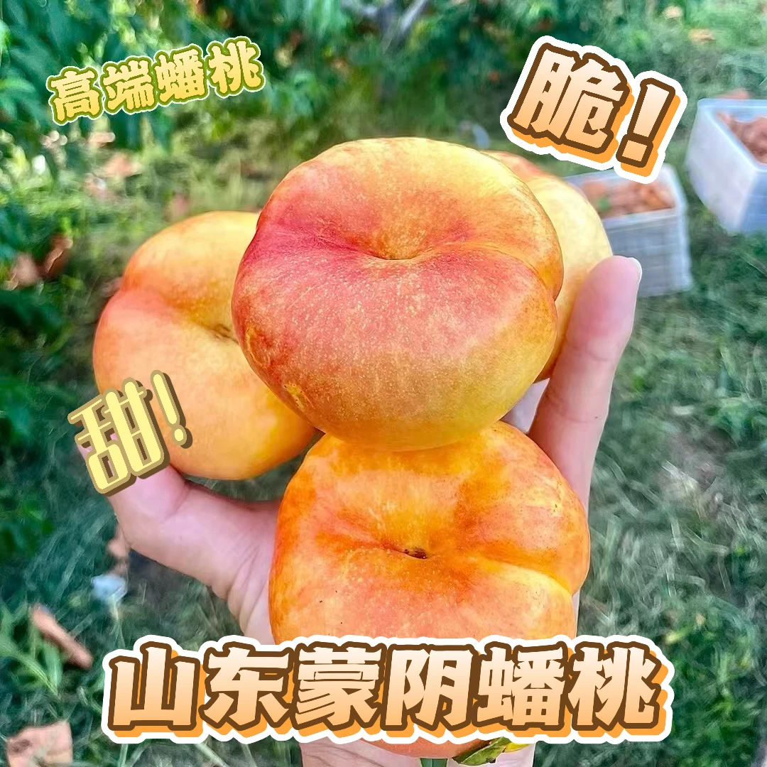 【顺丰京东包邮次日达】山东蒙阴油蟠桃紫金油蟠桃3-5斤现摘现发当季新鲜水果桃子山东省